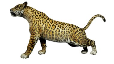 Leopar 3d çizim