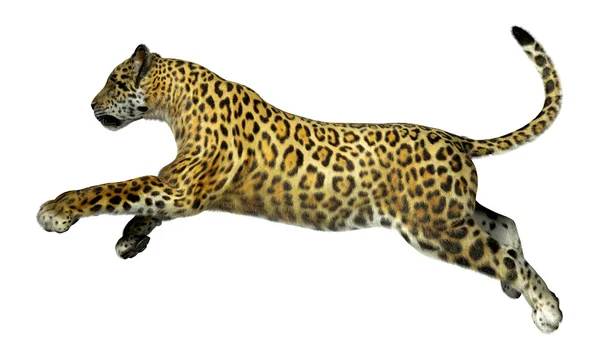Leopar 3d çizim