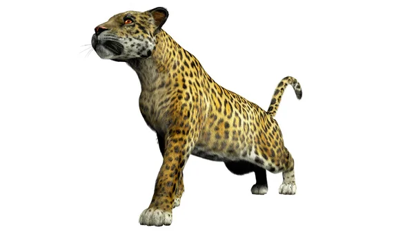 Leopard 3D illustration — Stock Photo, Image