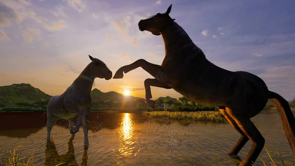 Två Hästar Bakgrunden Solnedgången — Stockfoto