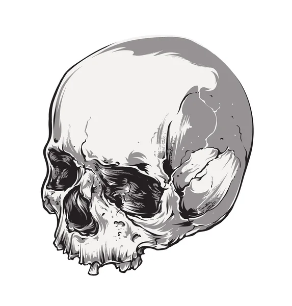 Calavera Vecstor Arte — Archivo Imágenes Vectoriales