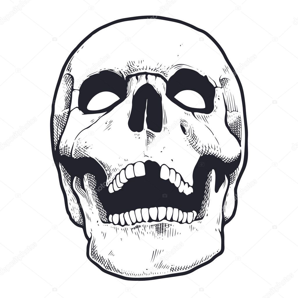 Engraving Style Skull With Open Mouth. Black and white vector illustration of skull looking mad. Vector object isolated on white.