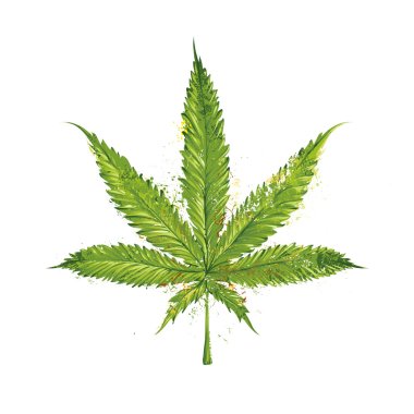 Vector Marijuana Leaf clipart
