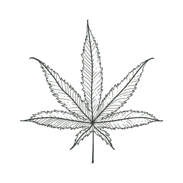 Hoja de marihuana vectorial — Archivo Imágenes Vectoriales