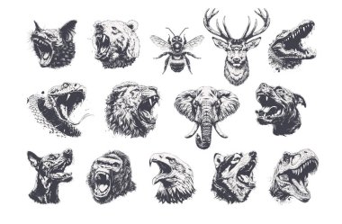 Çeşitli vahşi hayvan kafalarının yer aldığı çok detaylı monokrom çizimlerinin güçlü bir koleksiyonu. Yüksek kontrastlı grunge oymalı stili. Giysi izleri, maskot logoları, çıkartmalar, dövmeler için mükemmel.
