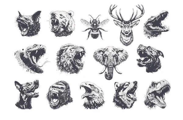 Çeşitli vahşi hayvan kafalarının yer aldığı çok detaylı monokrom çizimlerinin güçlü bir koleksiyonu. Yüksek kontrastlı grunge oymalı stili. Giysi izleri, maskot logoları, çıkartmalar, dövmeler için mükemmel.