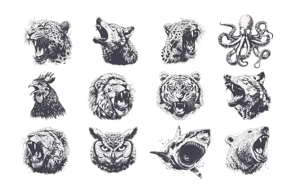 Çeşitli vahşi hayvan kafalarının yer aldığı çok detaylı monokrom çizimlerinin güçlü bir koleksiyonu. Yüksek kontrastlı grunge oymalı stili. Giysi izleri, maskot logoları, çıkartmalar, dövmeler için mükemmel.