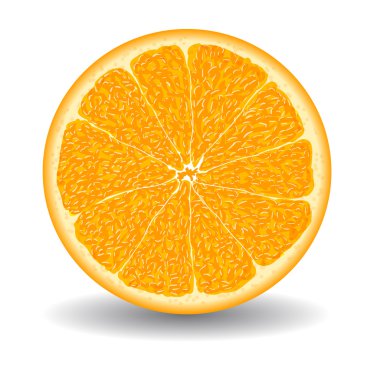Portakal dilim beyaz vektör çizim üzerinde