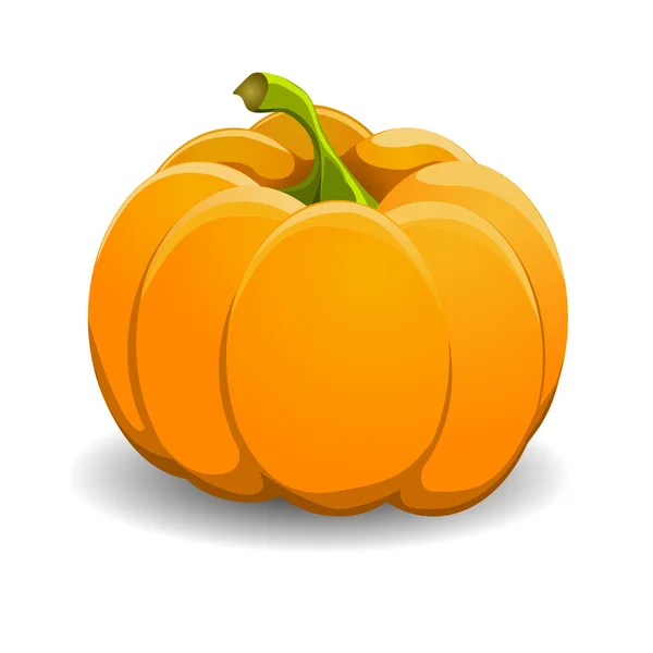 Pumpkin isolated on white. vector illustration. — Stock Vector