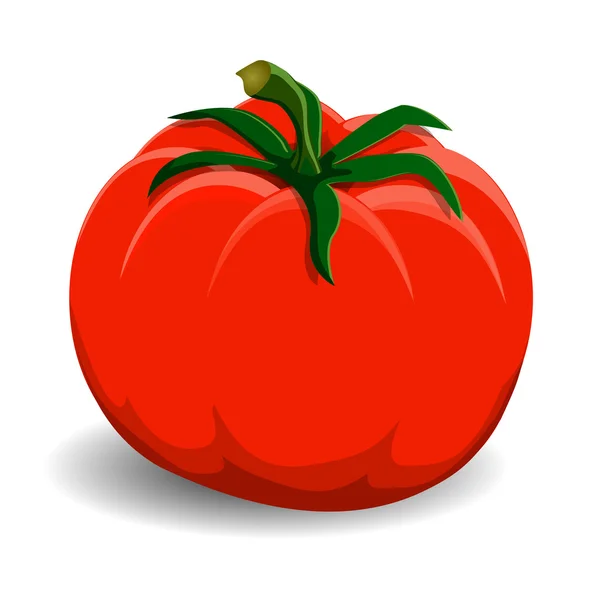 Tomate rojo sobre fondo blanco — Vector de stock