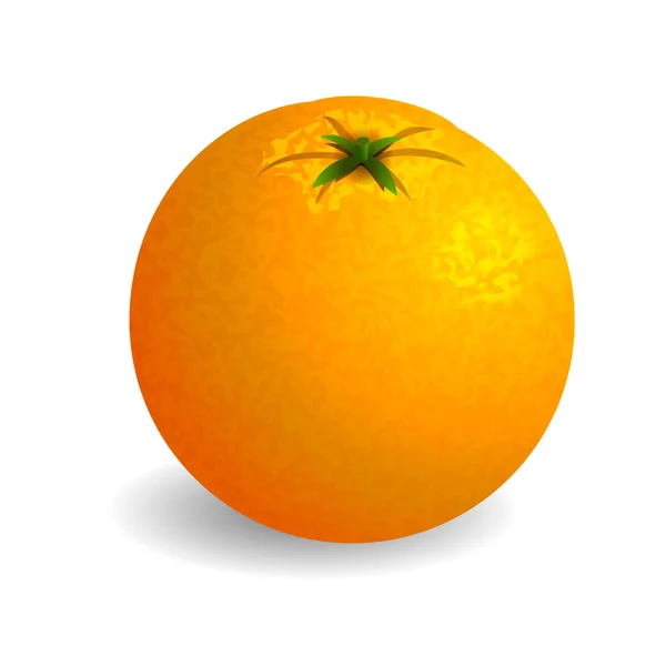 Bright orange on white background — Stock Vector