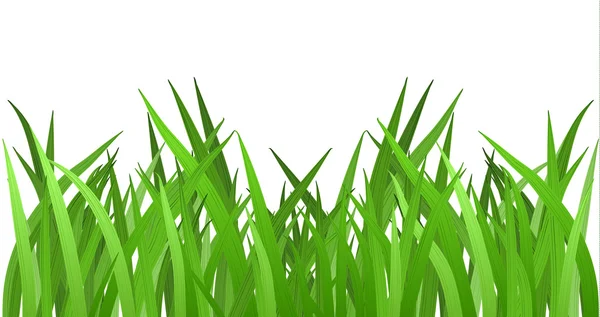 Gras isoliert auf weiß. Folge 10 Vektor — Stockvektor