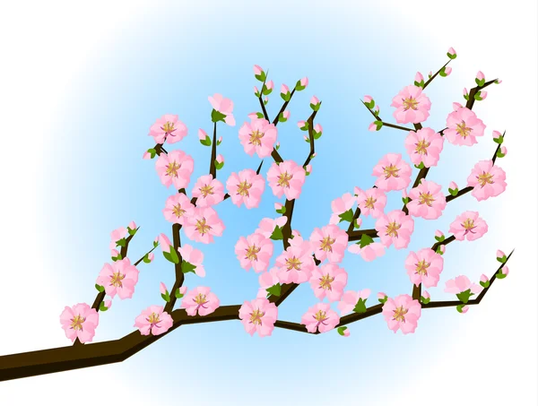 Pintura de estilo oriental, flor de cerezo en primavera — Vector de stock