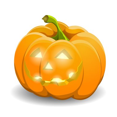 Beyaz balkabağı. vektör illüstrasyonu.