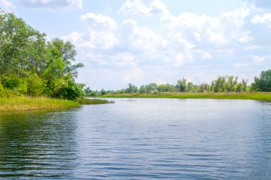  manzara nehir Dnieper bataklıklar ve Kherson