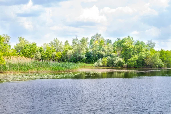 風景川ドニエプル沼地とヘルソン — ストック写真