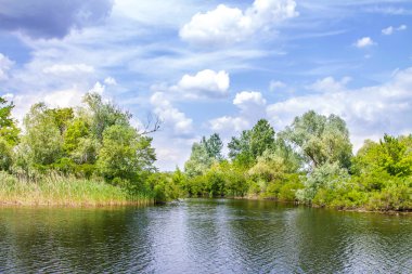  manzara nehir Dnieper bataklıklar ve Kherson