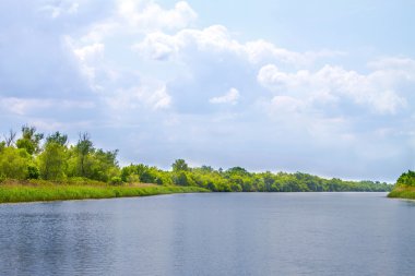 manzara nehir Dnieper bataklıklar ve Kherson
