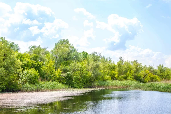 Paisaje río Dnieper pantanos y Kherson —  Fotos de Stock