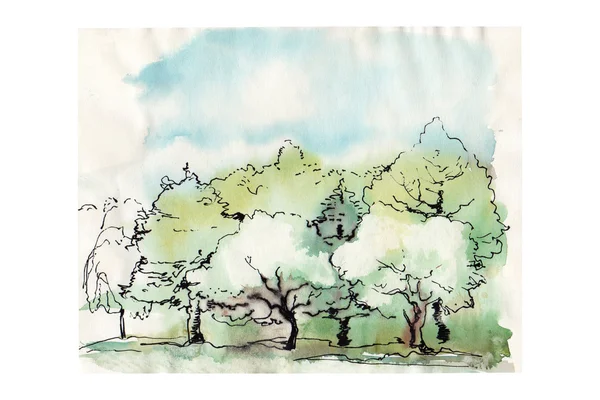 Desenho paisagem aquarela floresta e céu com nuvens — Fotografia de Stock