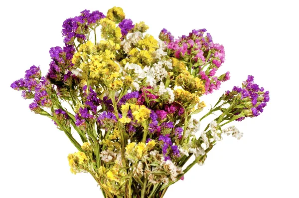 Bouquet di sfondo bianco di fiori selvatici colorati — Foto Stock