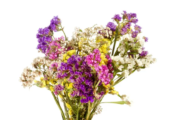 Bouquet di sfondo bianco di fiori selvatici colorati — Foto Stock