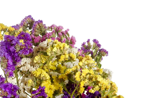 Fundo branco buquê de flores silvestres coloridas — Fotografia de Stock