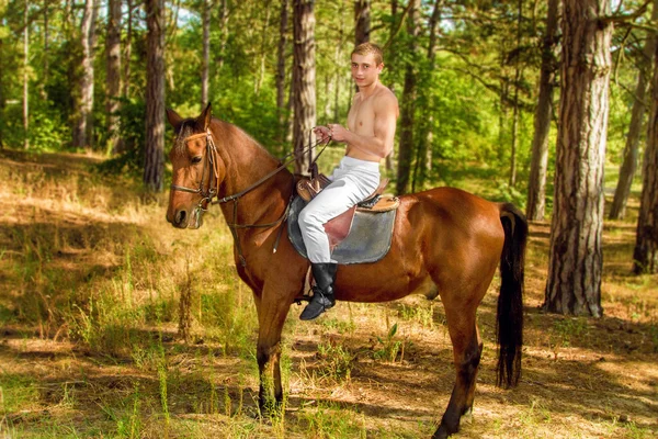若い男が馬に乗って森の中 — ストック写真
