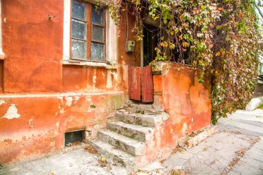 Vahşi üzümlerle kaplı eski evin görüntü girişi.