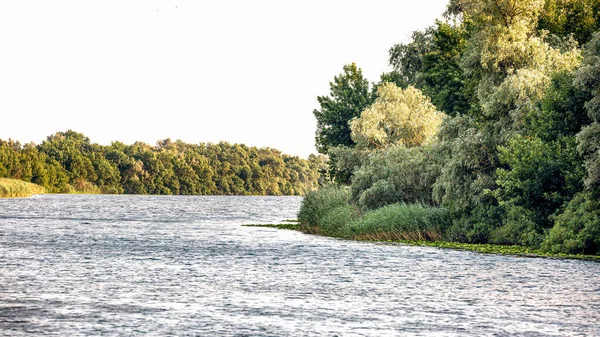 Obraz Krajobrazu Dużej Rzeki Zarośniętymi Brzegami — Zdjęcie stockowe