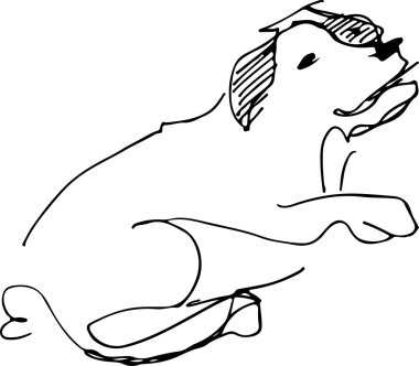 siyah-beyaz eskiz bir evcil köpek 