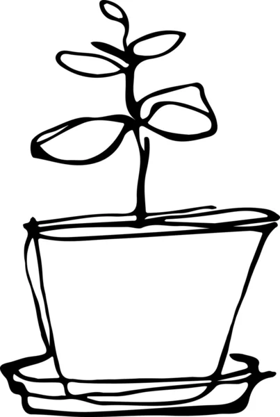 Bosquejo sala de flores en una maceta — Vector de stock