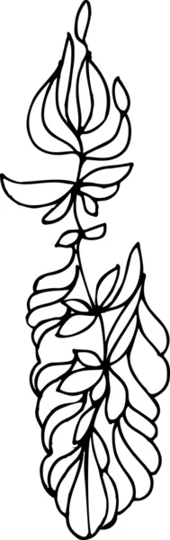 草绘的植物装饰 — 图库矢量图片