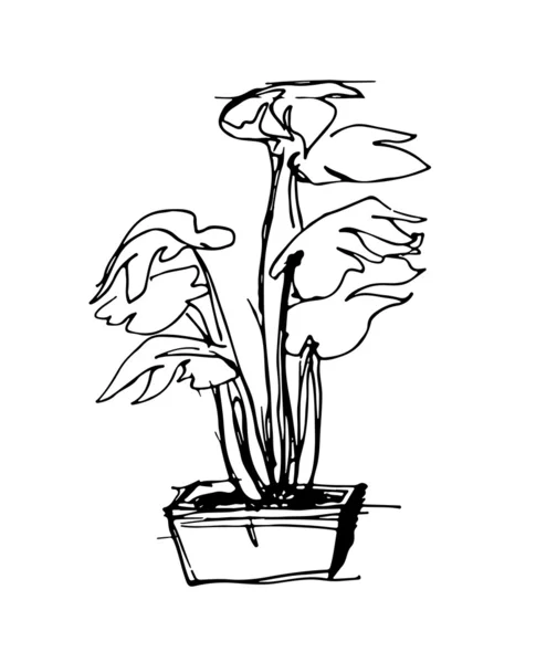 Croquis de la pièce en pot de fleurs carré — Image vectorielle