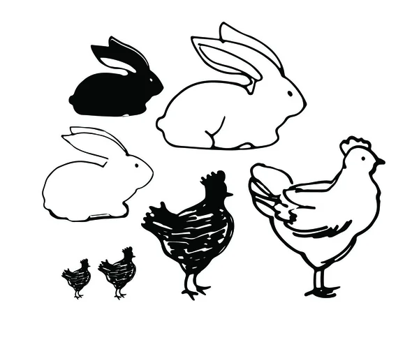 Sketch of chickens and rabbits — Stock Vector