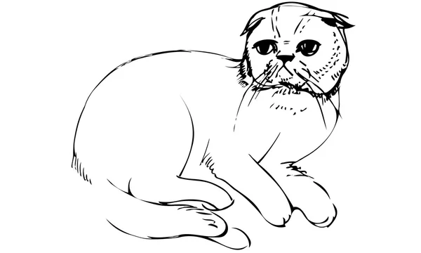 Vector sketch of a cat sittingk — Stock Vector