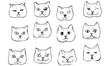 vektör çizim güzel kedi namlu