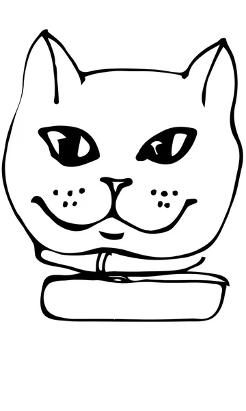 Vector sketch mooie kat snuit — Stockvector