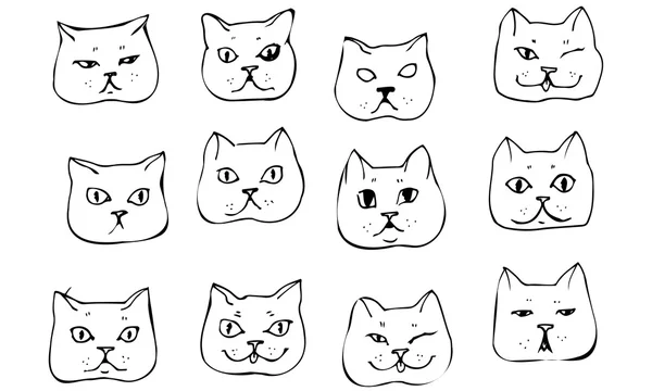 Vector sketch mooie kat snuit — Stockvector