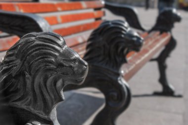 bir aslan başı şeklinde dökme demir ayaklı Park bankında
