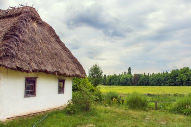Ukraynalı kulübe thatched eğimli tarlada