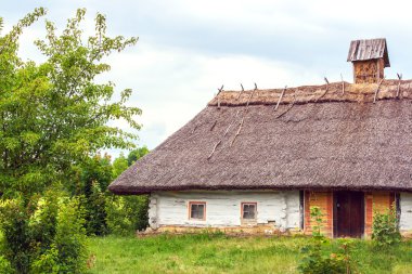Ukraynalı kulübe thatched eğimli tarlada