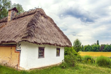 Ukraynalı kulübe thatched eğimli tarlada