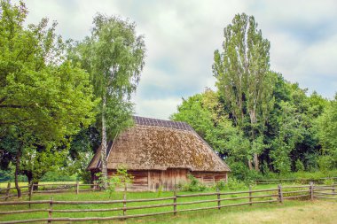 Ukraynalı kulübe thatched eğimli tarlada
