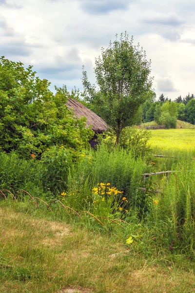 Ukrajinská chata doškové svažitého terénu poblíž — Stock fotografie