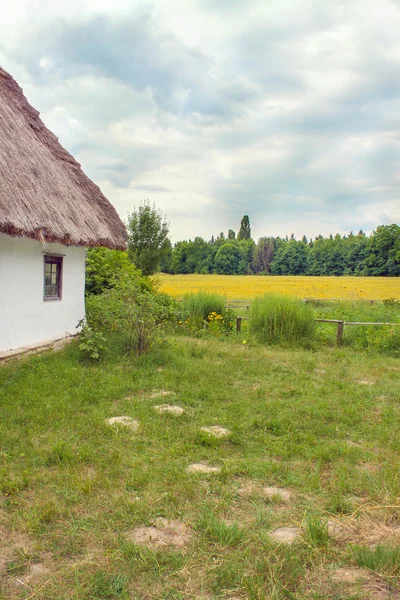 Ukrainsk hut halmtak sluttande fält nära — Stockfoto