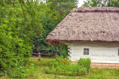 Thatched Ukraynalı ahşap kulübe
