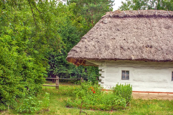 Oekraïense houten hut rieten — Stockfoto