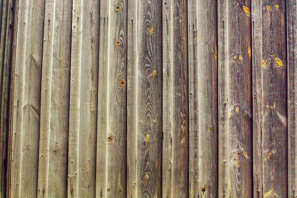 Natural background texture image of old pine boards — Stock Photo, Image