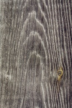 eski çam kalas doku doğal arka plan görüntüsü